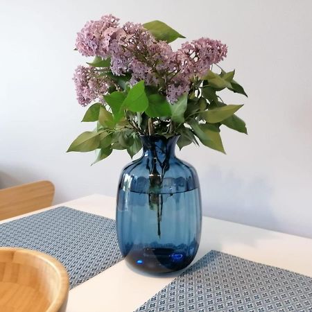 Apartament Gromadzyn 39 Ustrzyki Dolne Luaran gambar