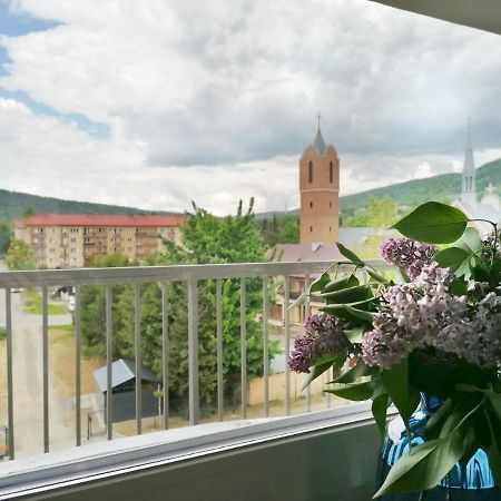 Apartament Gromadzyn 39 Ustrzyki Dolne Luaran gambar