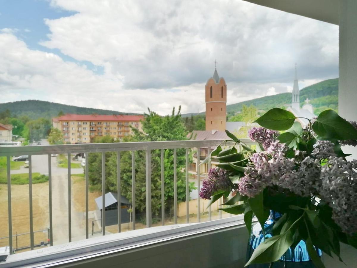 Apartament Gromadzyn 39 Ustrzyki Dolne Luaran gambar